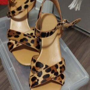 J. Crew Factory Brown and Black Sandals with Crisscross Straps